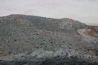 
DSC00101